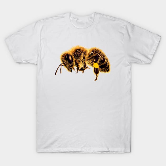 Honeycore - flying bee T-Shirt by Modern Medieval Design